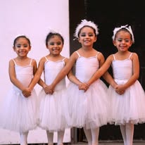 Diferencias entre barre y ballet